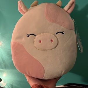 🚨LAST CHANCE🚨Caedyn Squishmallow